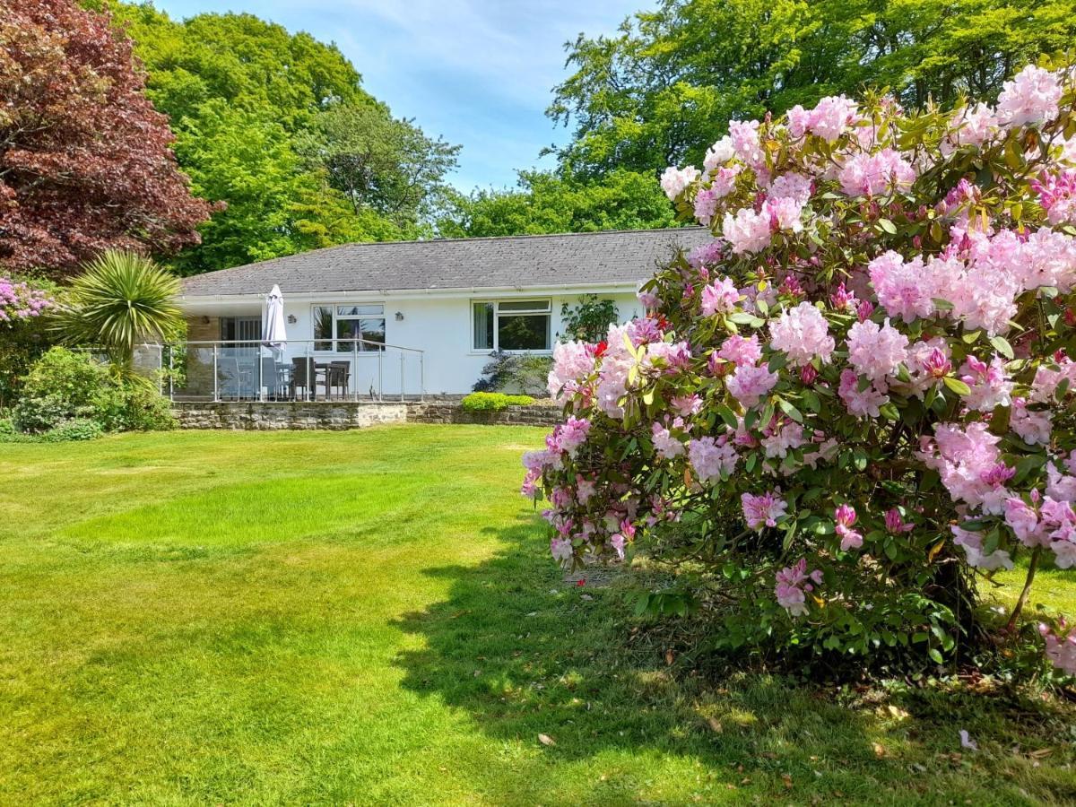 Hotel Fairwater Head Axminster Zewnętrze zdjęcie